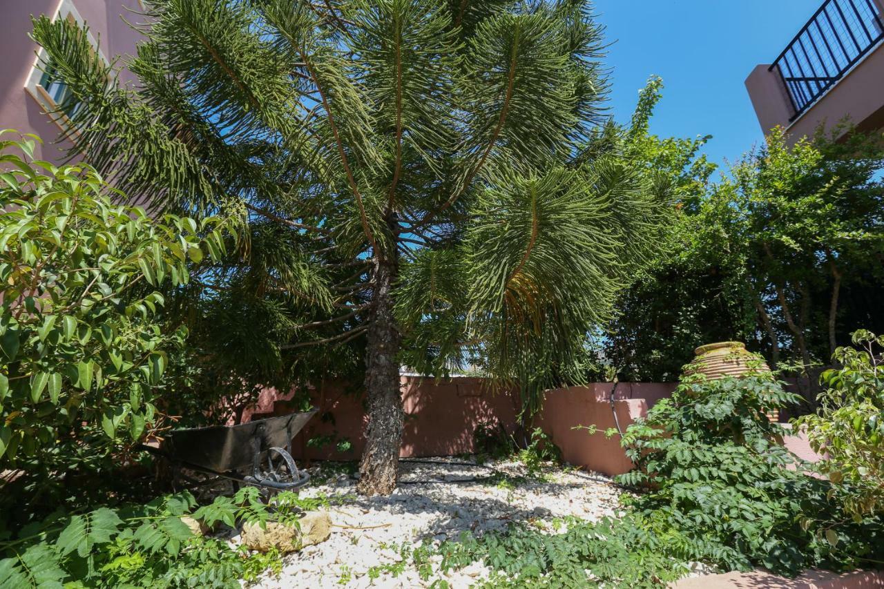 Skala  Pelagos Apartments מראה חיצוני תמונה